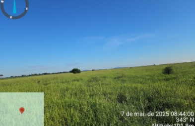 Fazenda para venda em Corumbá
